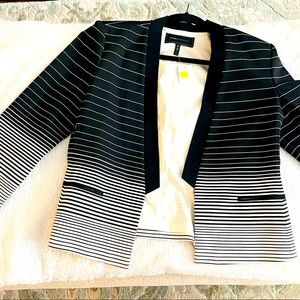 (Item no.7)Gradient Black to White Striped Blazer.